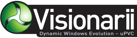 Visionarii